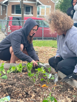 Community garden combats food insecurity.