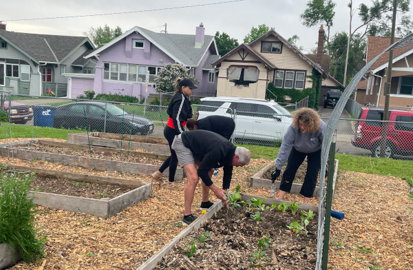 Community garden combats food insecurity.